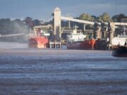 El campo ya ingresó más de US$28.000 millones en lo que va del año