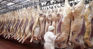 Restricciones a la exportación: Uruguay superó a la Argentina como segundo exportador de carne a China