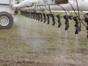 Por qué crece en Argentina el negocio de las pulverizaciones selectivas