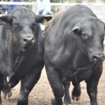 WhatsApp Image 2021-11-05 at 09.15.42