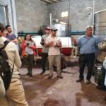 WhatsApp Image 2021-11-11 at 10.27.13