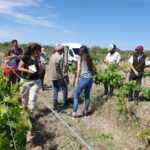 WhatsApp Image 2021-11-11 at 10.46.22