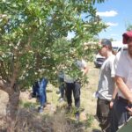 WhatsApp Image 2021-11-11 at 13.15.13