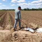 WhatsApp Image 2021-11-11 at 16.50.34