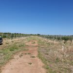 WhatsApp Image 2021-11-15 at 18.27.34