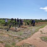 WhatsApp Image 2021-11-15 at 18.27.47