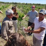 WhatsApp Image 2021-11-15 at 18.28.02