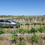 WhatsApp Image 2021-11-15 at 18.28.18