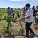 WhatsApp Image 2021-11-15 at 18.28.32