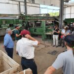 WhatsApp Image 2021-11-15 at 19.26.03