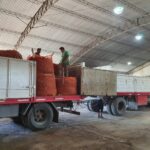 WhatsApp Image 2021-11-15 at 19.26.25