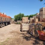 WhatsApp Image 2021-11-15 at 19.26.57