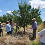 WhatsApp Image 2021-11-15 at 19.36.03