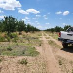 WhatsApp Image 2021-11-15 at 19.36.59