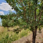 WhatsApp Image 2021-11-15 at 19.37.20