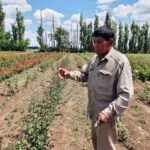 WhatsApp Image 2021-11-15 at 19.42.12