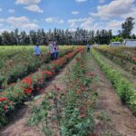 WhatsApp Image 2021-11-15 at 19.42.45