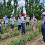 WhatsApp Image 2021-11-15 at 19.43.29