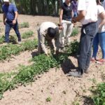 WhatsApp Image 2021-11-15 at 19.43.42