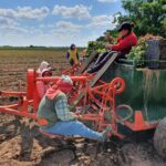 WhatsApp Image 2021-11-15 at 19.44.04