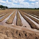 WhatsApp Image 2021-11-15 at 19.44.41