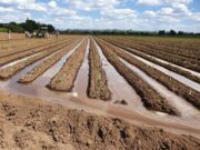 El norte de San Luis mostró su enorme potencial productivo durante una gira de estudiantes de Agronomía