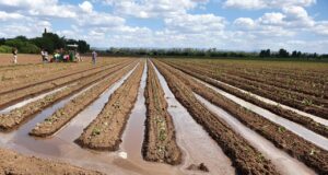 El norte de San Luis mostró su enorme potencial productivo durante una gira de estudiantes de Agronomía