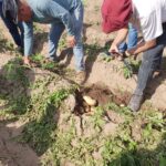 WhatsApp Image 2021-11-15 at 19.45.21