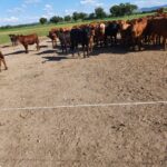 WhatsApp Image 2021-11-15 at 19.53.16