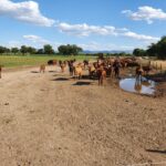 WhatsApp Image 2021-11-15 at 19.53.28