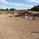 WhatsApp Image 2021-11-15 at 19.53.38