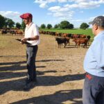 WhatsApp Image 2021-11-15 at 19.54.07