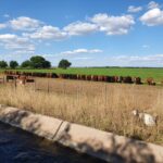 WhatsApp Image 2021-11-15 at 19.54.43