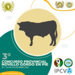 WhatsApp Image 2021-11-19 at 08.45.30