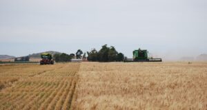 Presentan un visualizador económico para producciones agropecuarias