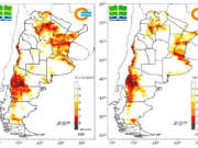 Buen panorama para la campaña gruesa tras las lluvias de noviembre