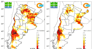 Buen panorama para la campaña gruesa tras las lluvias de noviembre