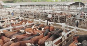 El campo rechaza y analiza medidas de fuerza ante la posible suba de retenciones