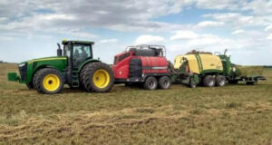 Heno de alfalfa: evaluación a campo de vaporizadora en la confección de megafardos