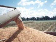 ¿Qué está pasando con la urea en el mundo?