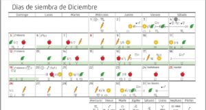 Calendario biodinámico para la siembra de diciembre 2021