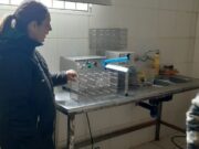 En San Luis se pasteuriza leche envasada de la Agricultura Familiar