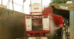 San Luis: el cierre de un lavadero en Unión complicó los remates de hacienda en el sur