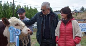 El Gobierno mantendrá las trabas a las exportaciones de carne durante el año próximo