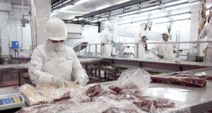 Marfrig es la empresa de proteína bovina con mejor clasificación en FAIRR Global