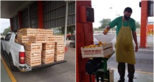Decomisaron más de 4.000 kilos de naranjas en la barrera fitosanitaria de Desaguadero