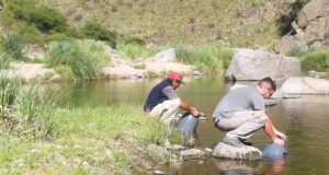 Comenzó con la siembra de más de 5 mil alevines de truchas en diferentes ríos de San Luis