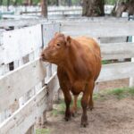 WhatsApp Image 2021-12-13 at 20.47.58