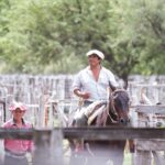 WhatsApp Image 2021-12-13 at 20.48.02