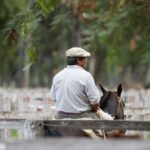 WhatsApp Image 2021-12-13 at 20.48.50